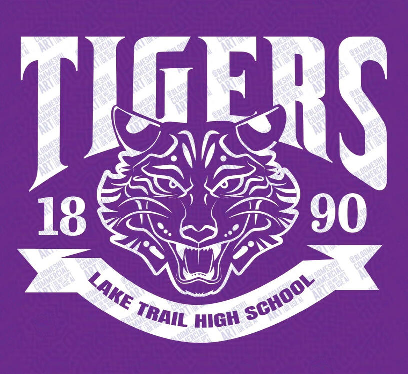 Tigers Spirit Shirt Concept #2